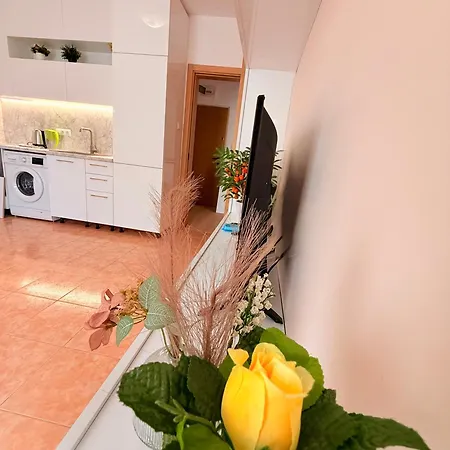 Apartment One